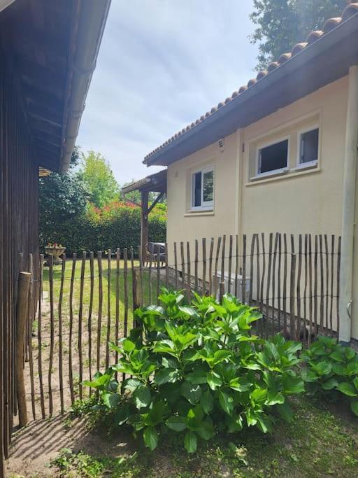 La Petite Landaise Villa Sanguinet Eksteriør bilde