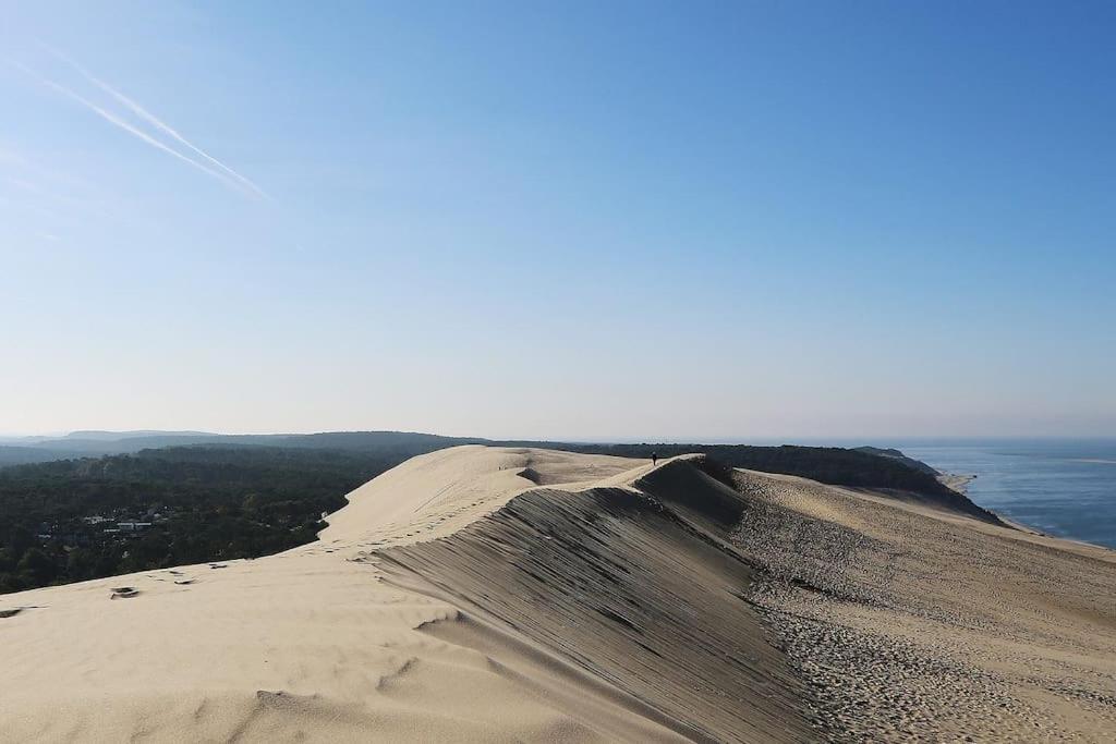 La Petite Landaise Villa Sanguinet Eksteriør bilde